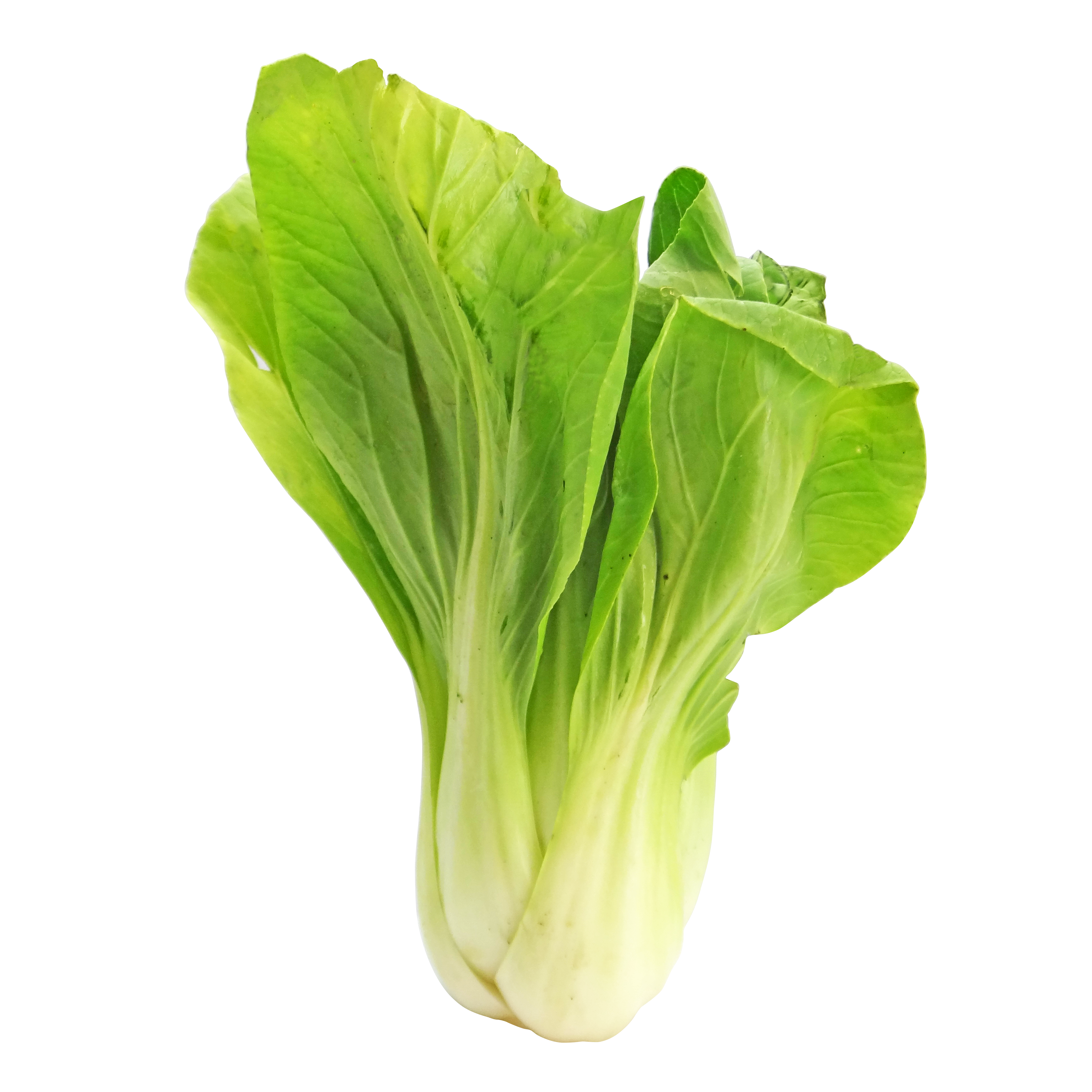 Eyvallah