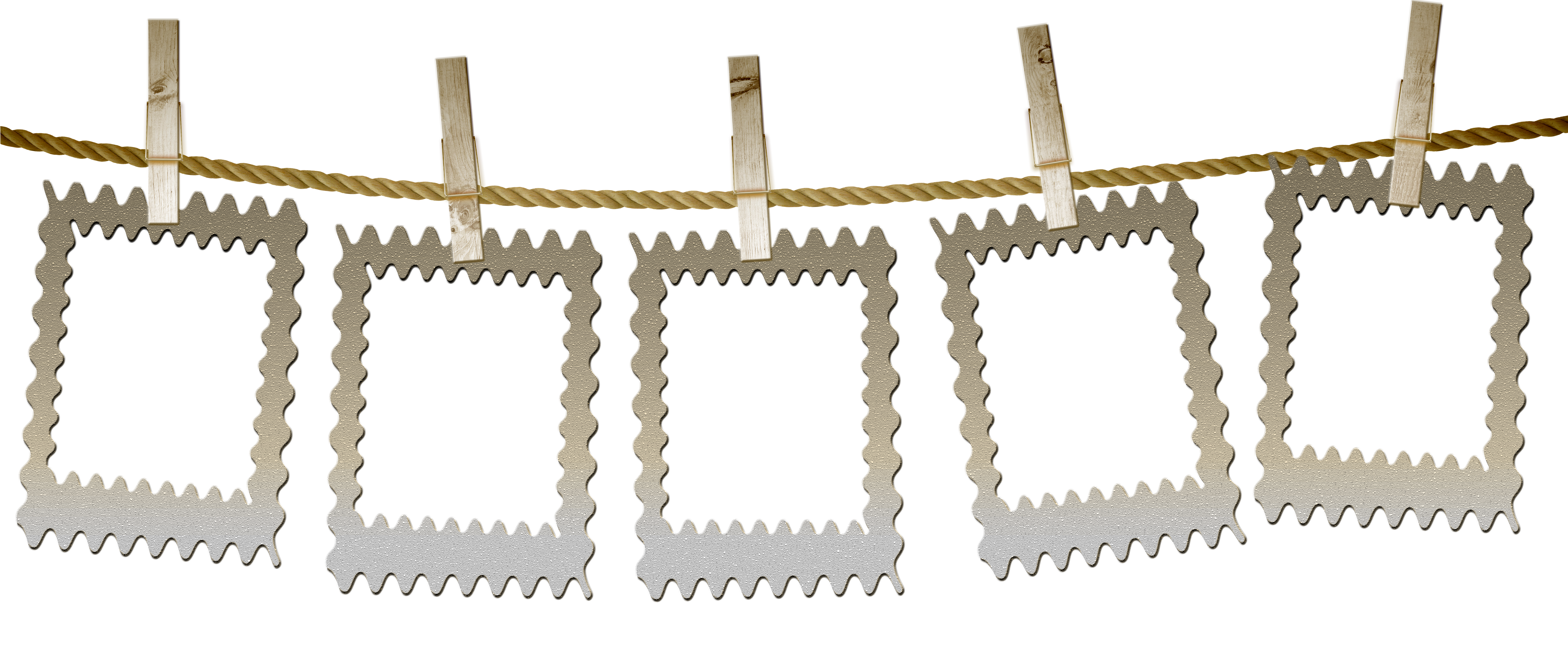 Soğan