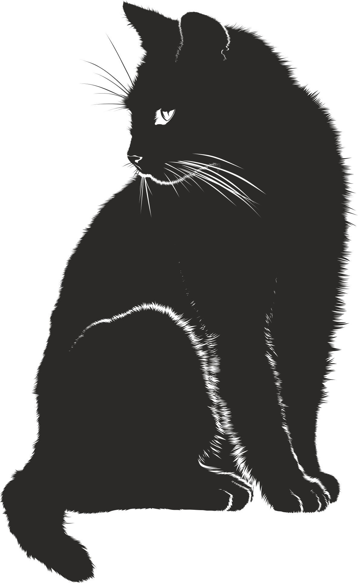 Gecıt